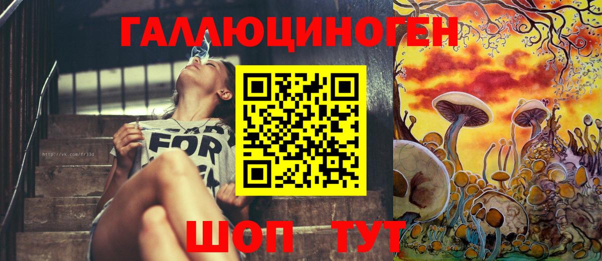 Галлюциногенные грибы MAGIC MUSHROOMS Зима