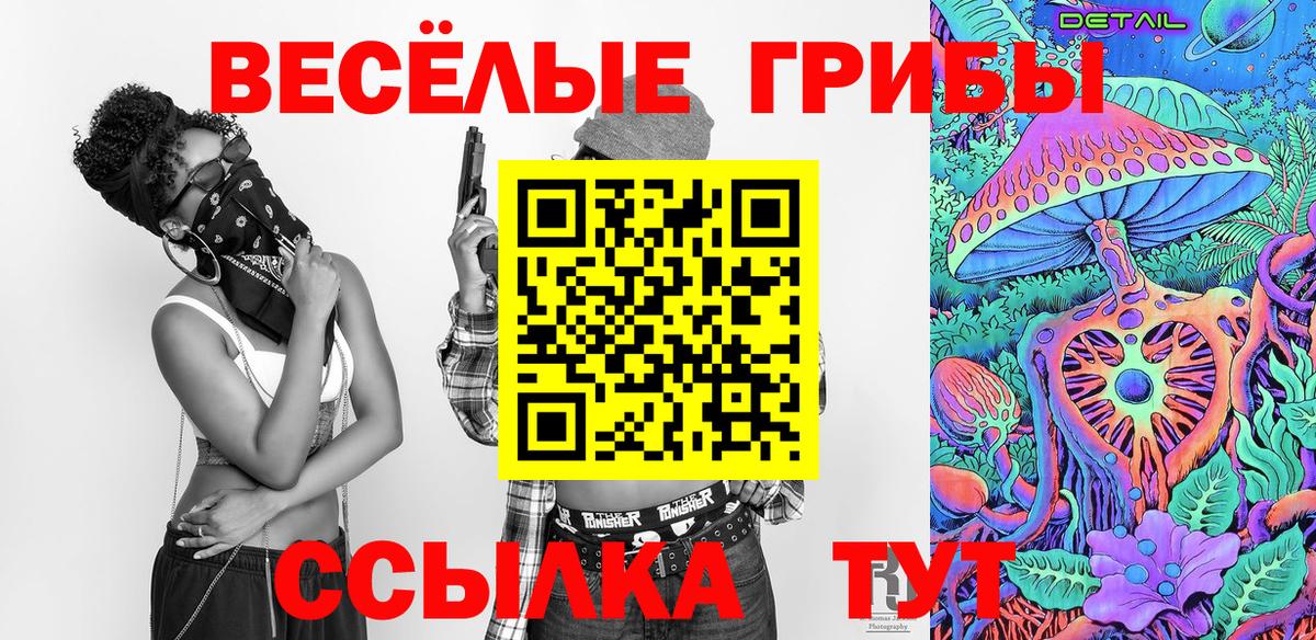 Галлюциногенные грибы Psilocybe  Псилоцибиновые грибы Magic Shrooms  Зима  Вход с VPN 